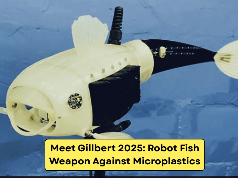 Robot Fish