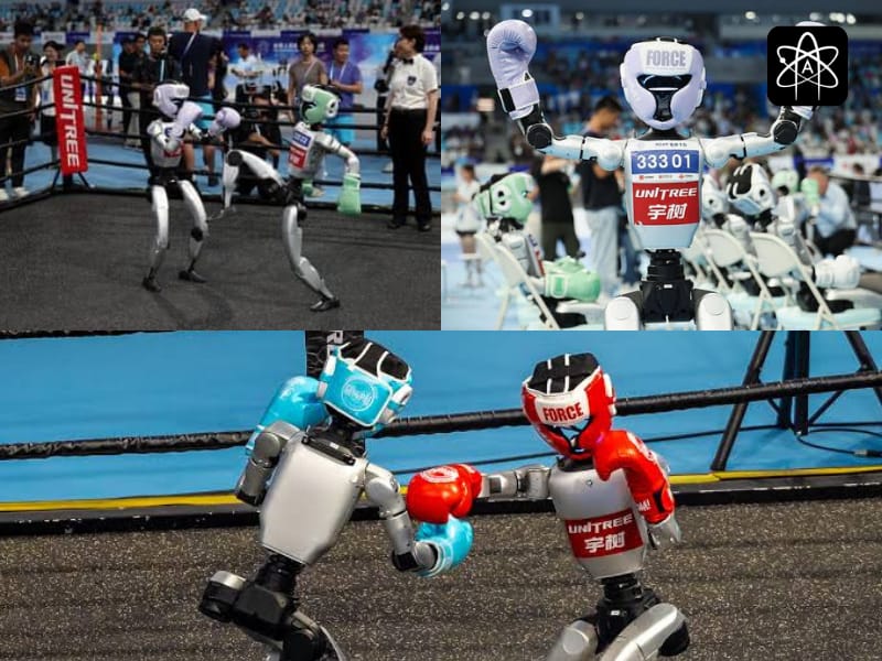 The Kickboxing Bots of Beijing Take the New Centre Stage in 2025